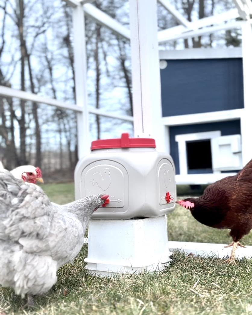 Compact Chicken Waterer with No Spill System, 5 Gallon Q9719