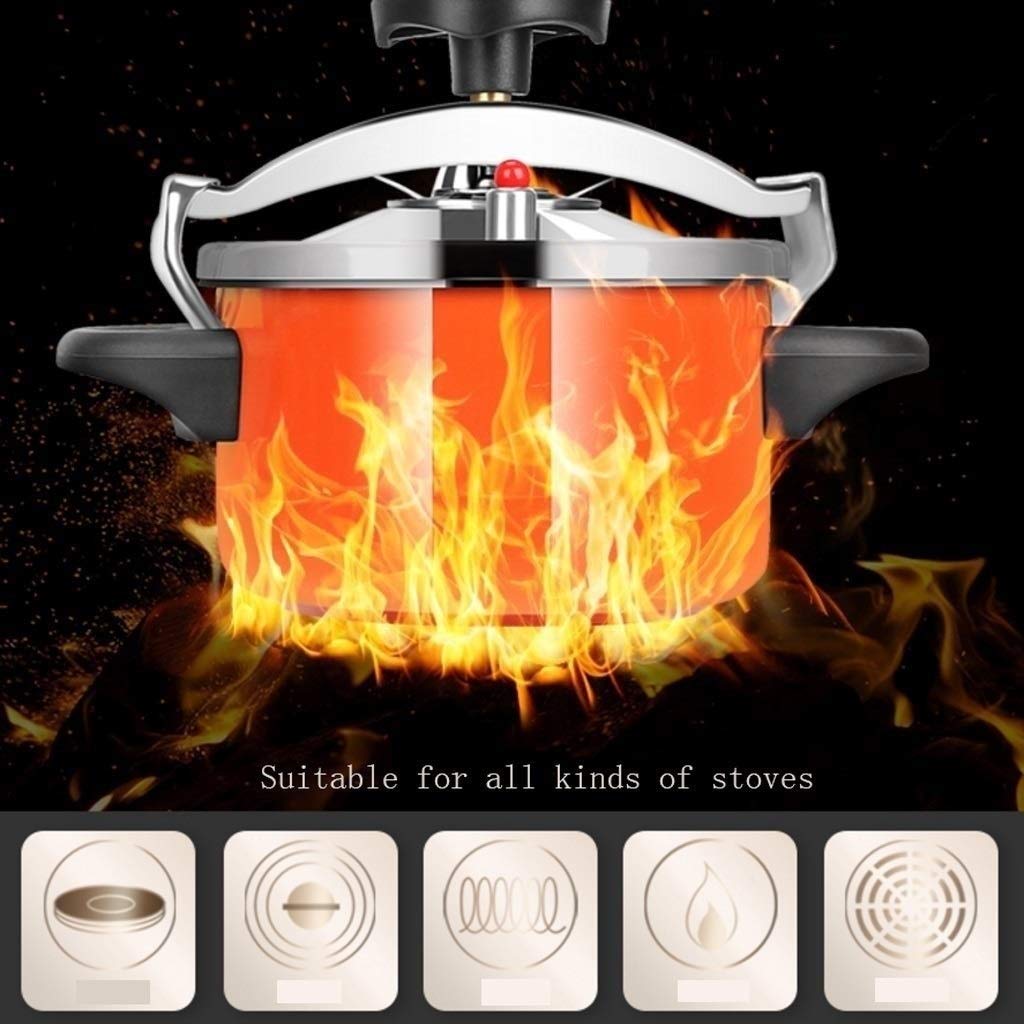 Stainless Steel 2L Pressure Cooker U626428