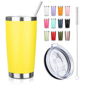20oz Stainless Steel Vacuum Insulated Tumbler with Straw J6818