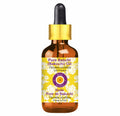 Babchi Oil with Glass Dropper 30ml Q706305
