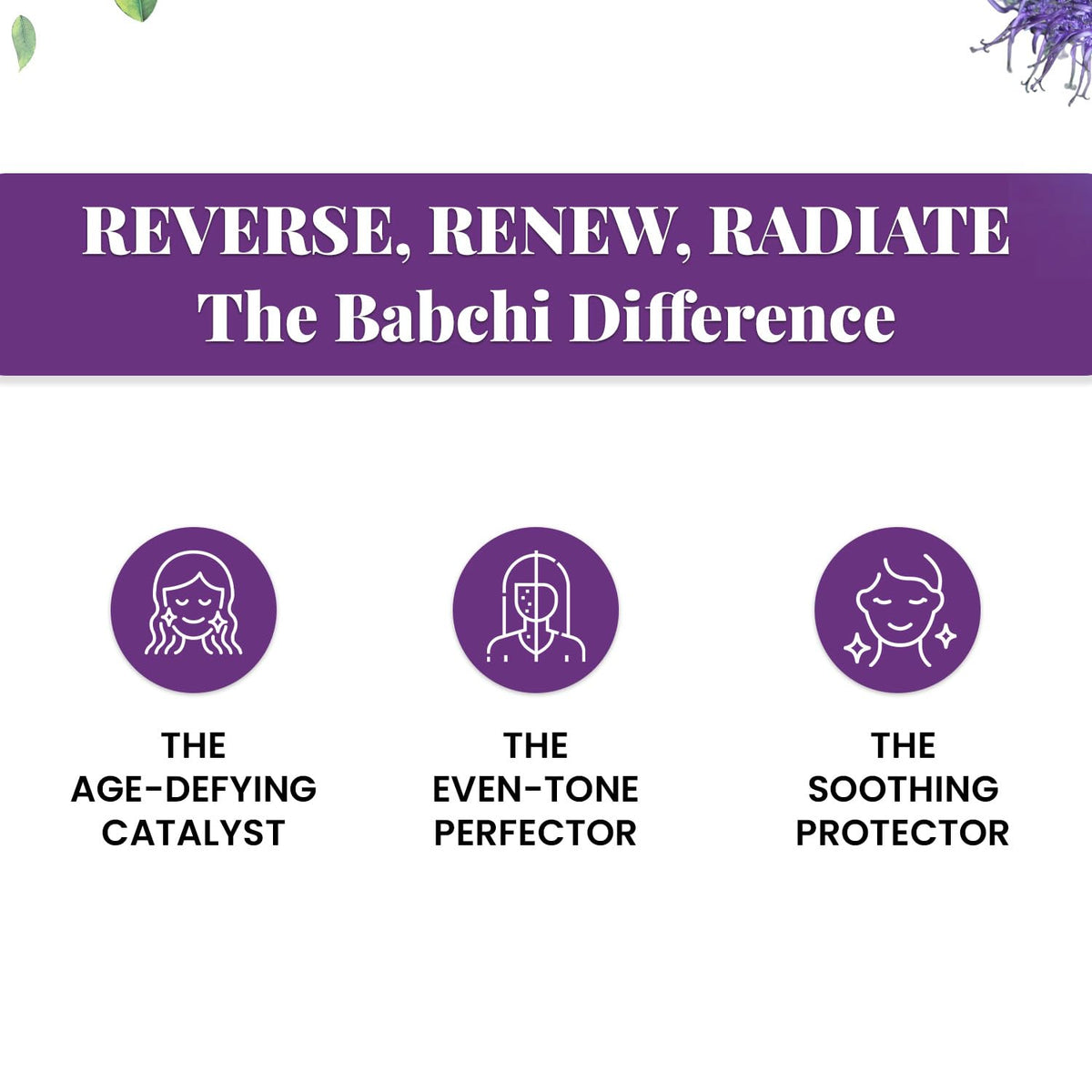 Babchi Oil with Glass Dropper 30ml Q706305