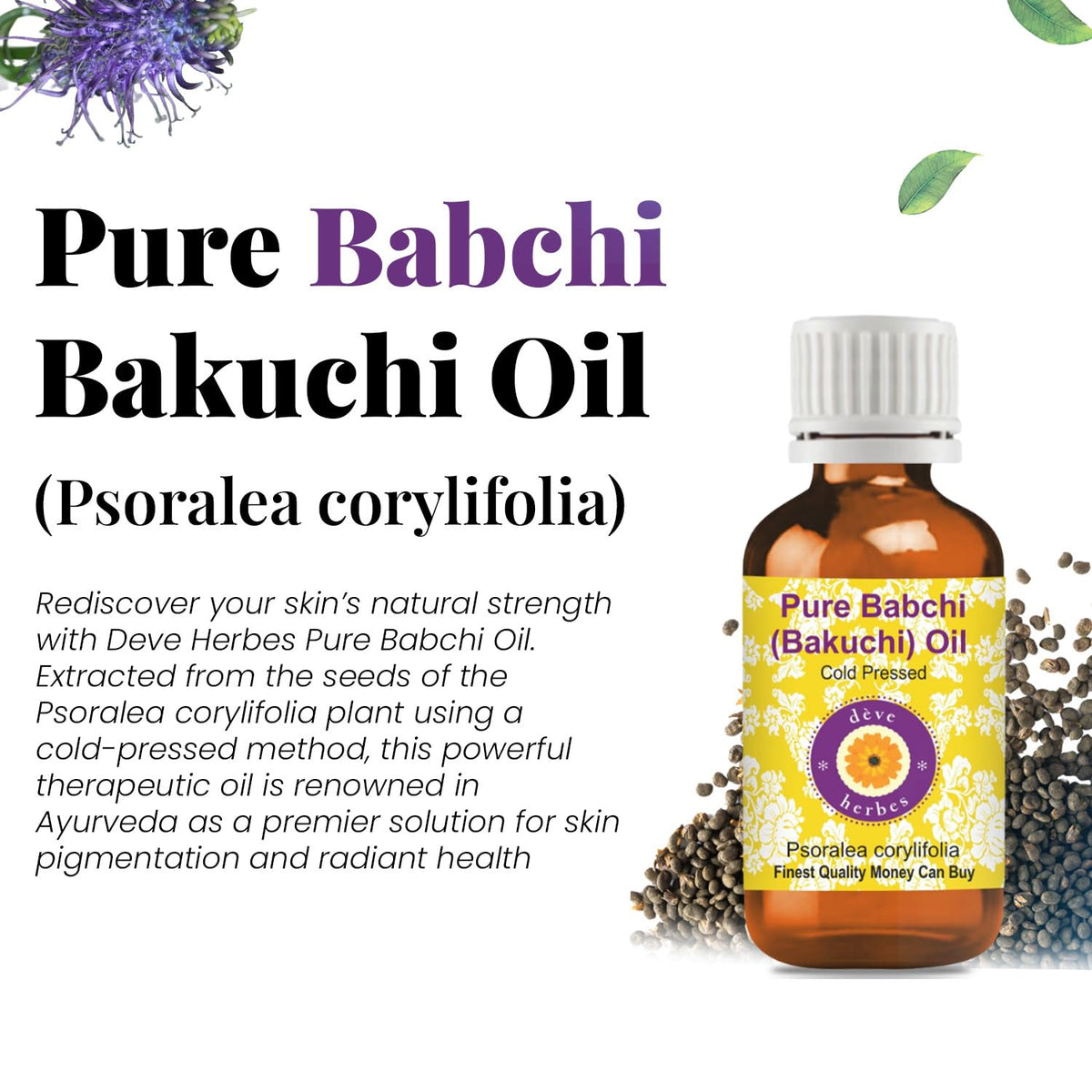 Babchi Oil with Glass Dropper 30ml Q706305