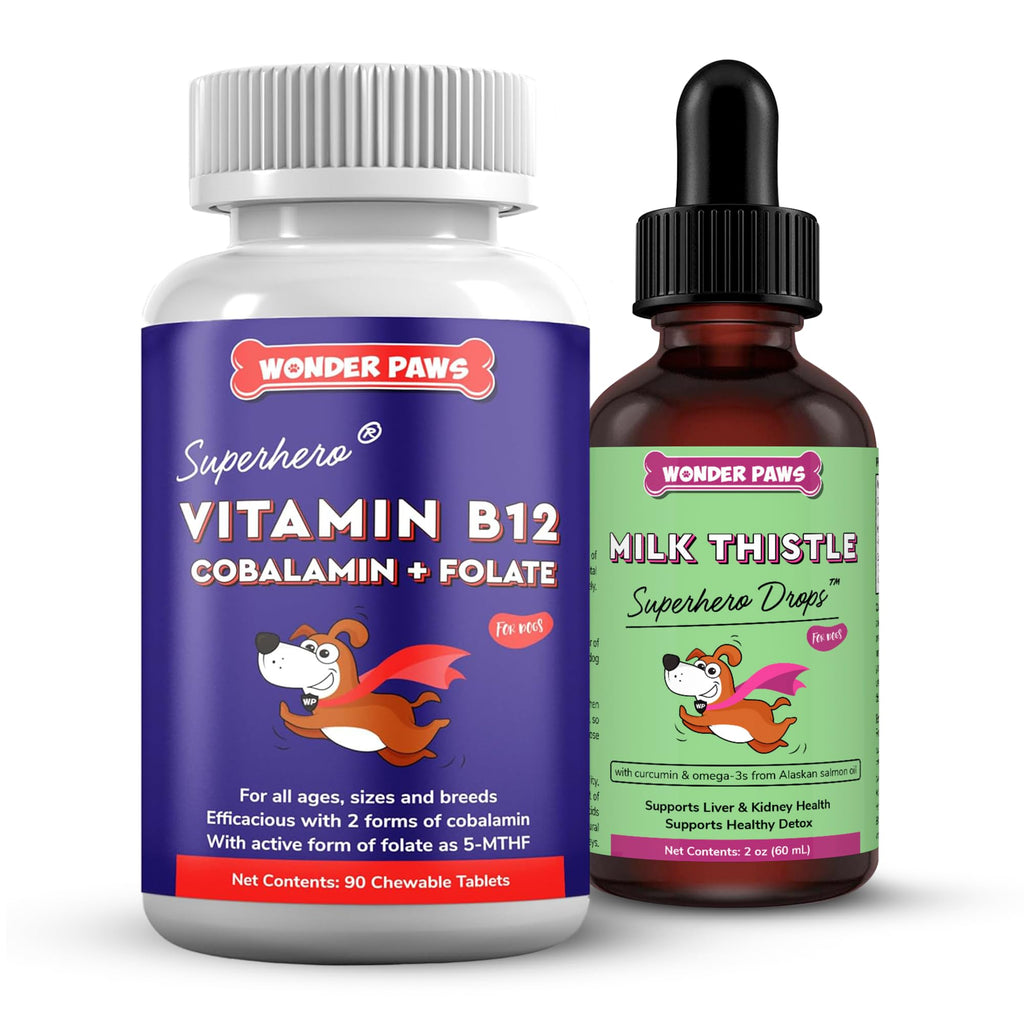 Vitamin B12 Chewable Tablets Plus Milk Thistle Drops 90 Chews 2 Ounces A131
