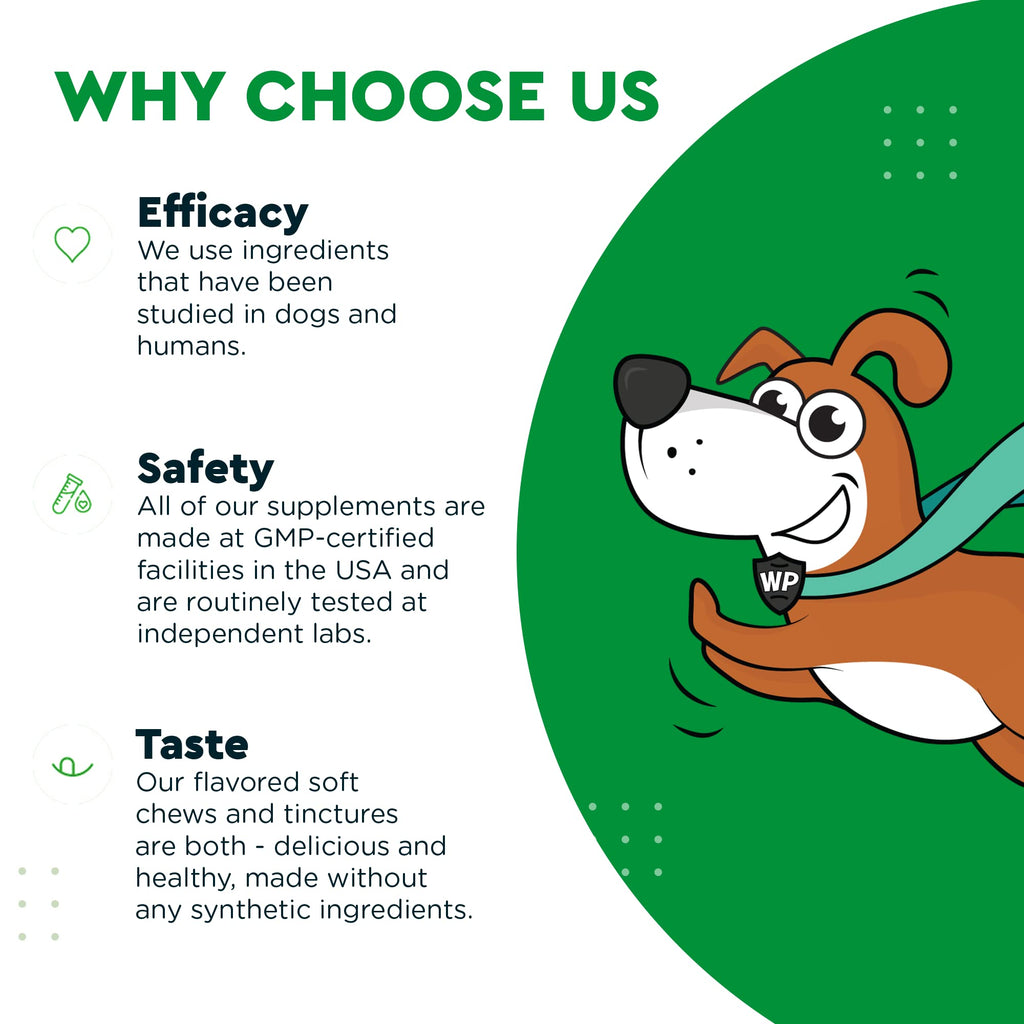 Soft Chews Plus Multivitamin Chews for Dogs J46295