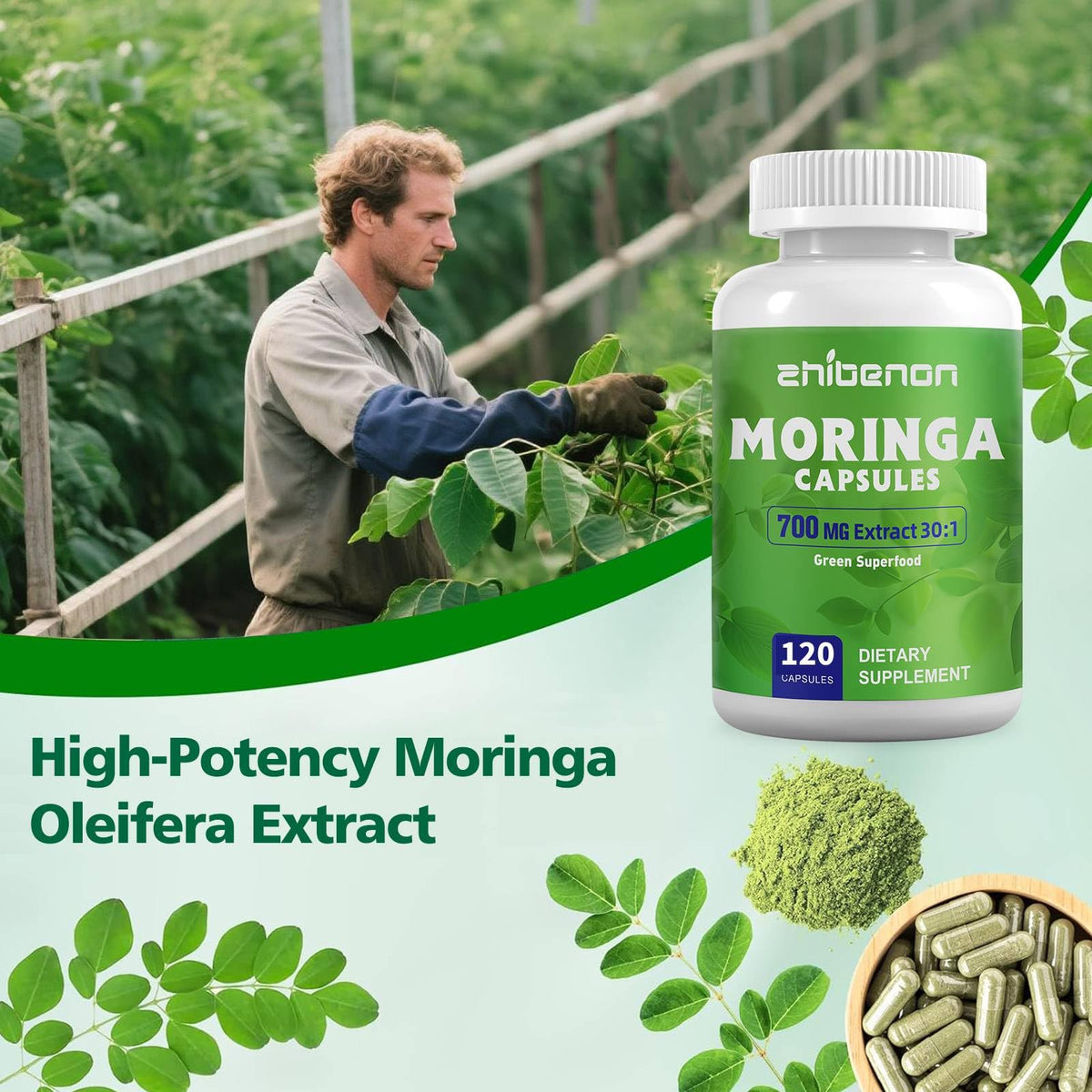 Moringa Oleifera Leaf Extract 120 Capsules 700 mg M405