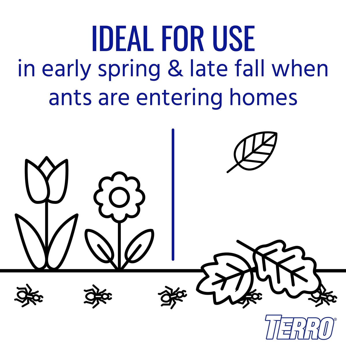 Outdoor Ant Killer Spray T599