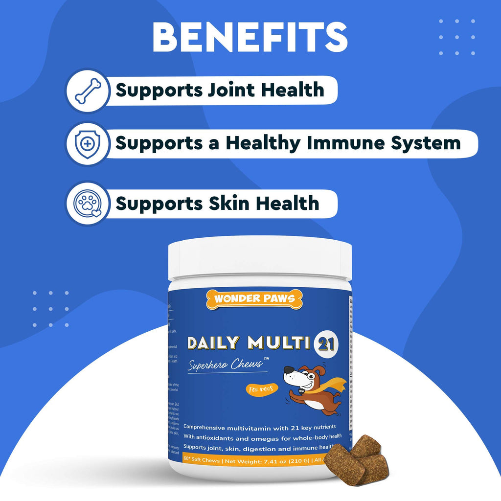 Soft Chews Plus Multivitamin Chews for Dogs J46295