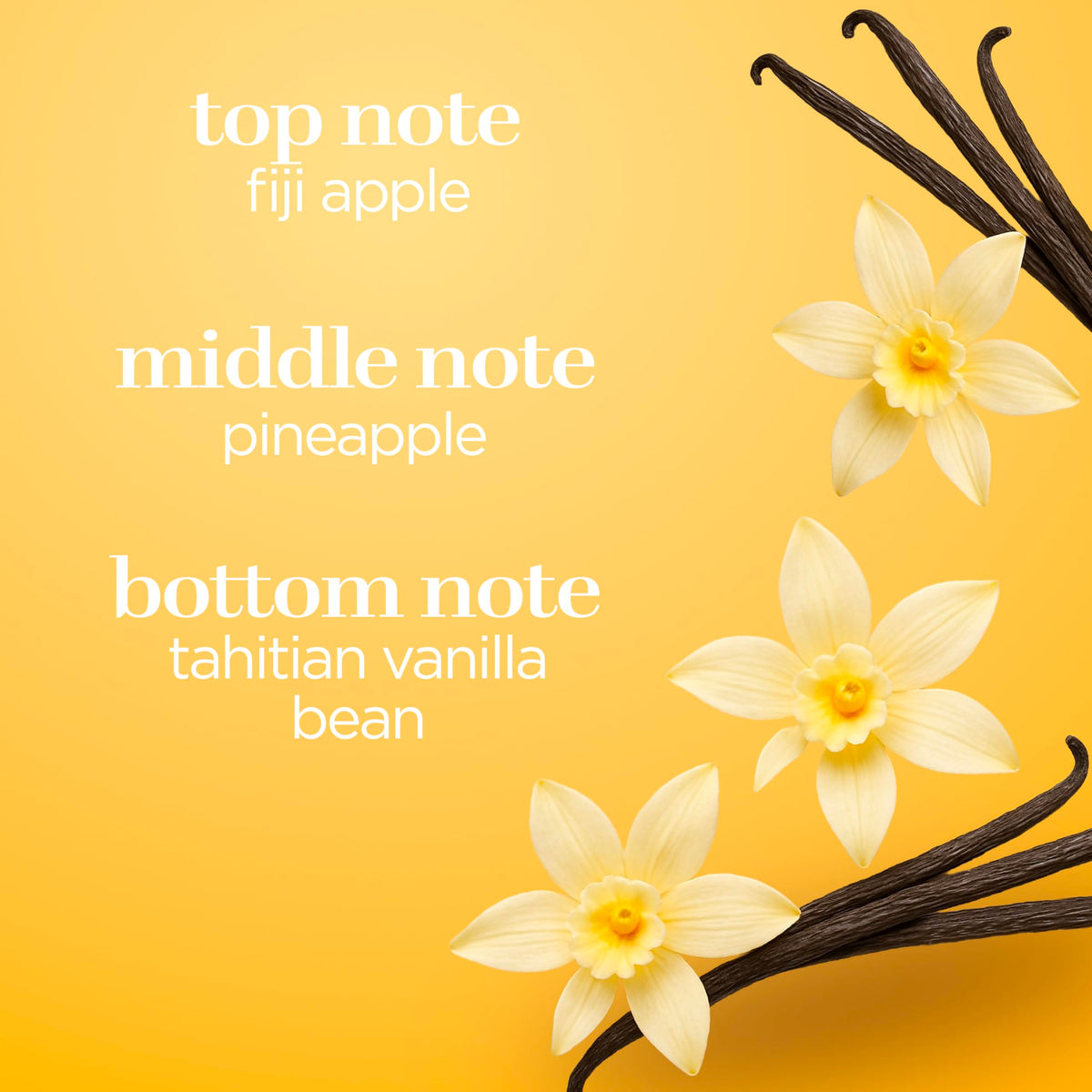 Vanilla Body Spray 8 fl oz (Pack of 2) Y55570