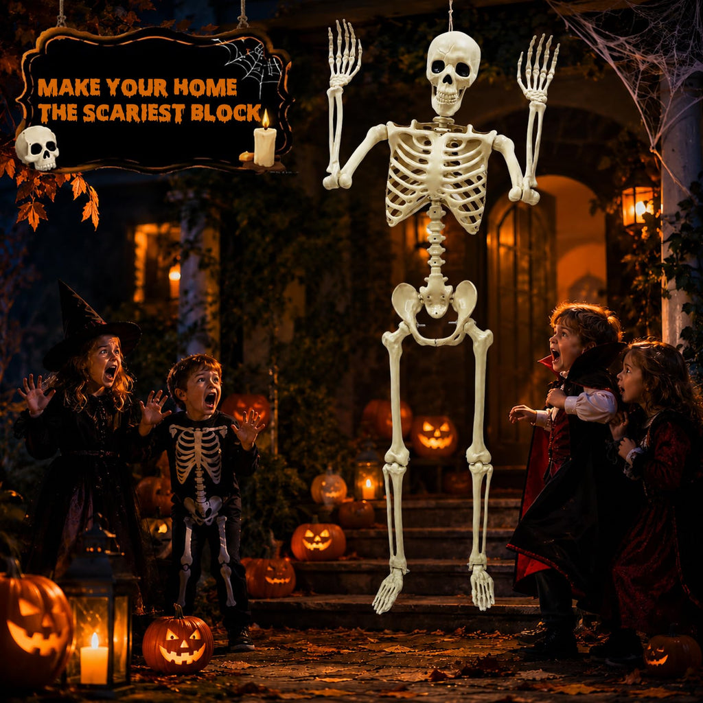Life Size Skeleton D429264