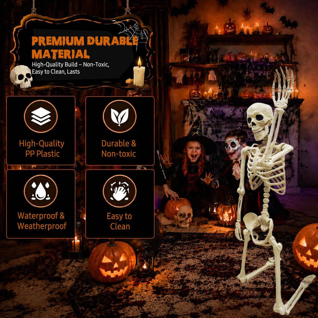 Life Size Skeleton D429264