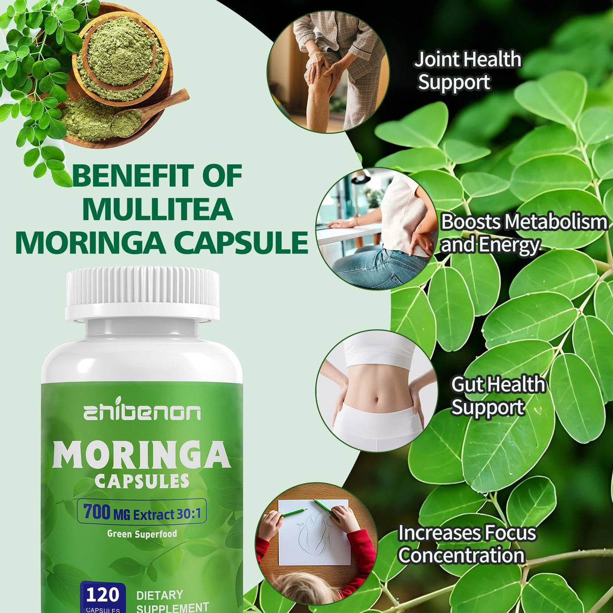 Moringa Oleifera Leaf Extract 120 Capsules 700 mg M405