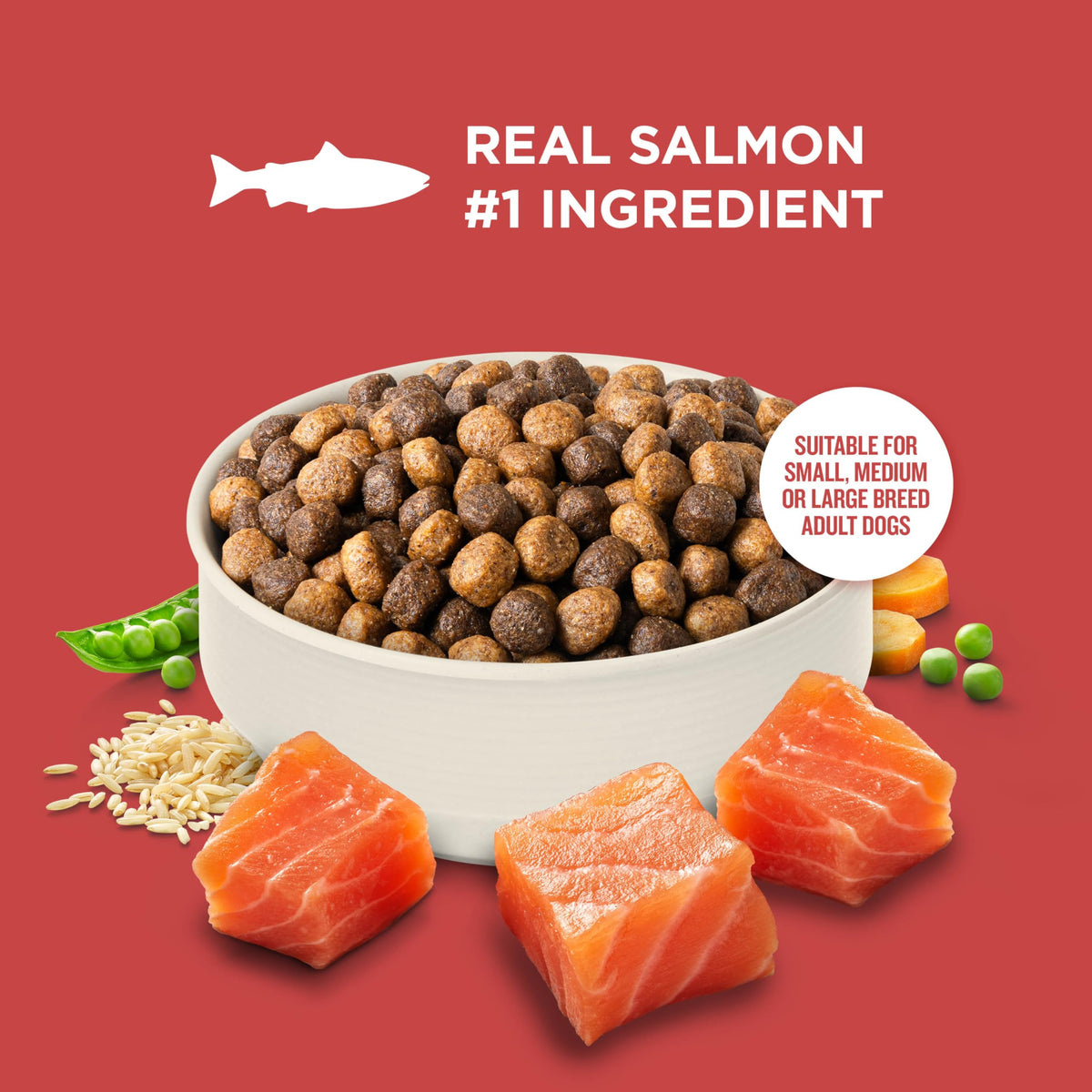 Salmon Dry Dog Food 26 lb. Bag K1431