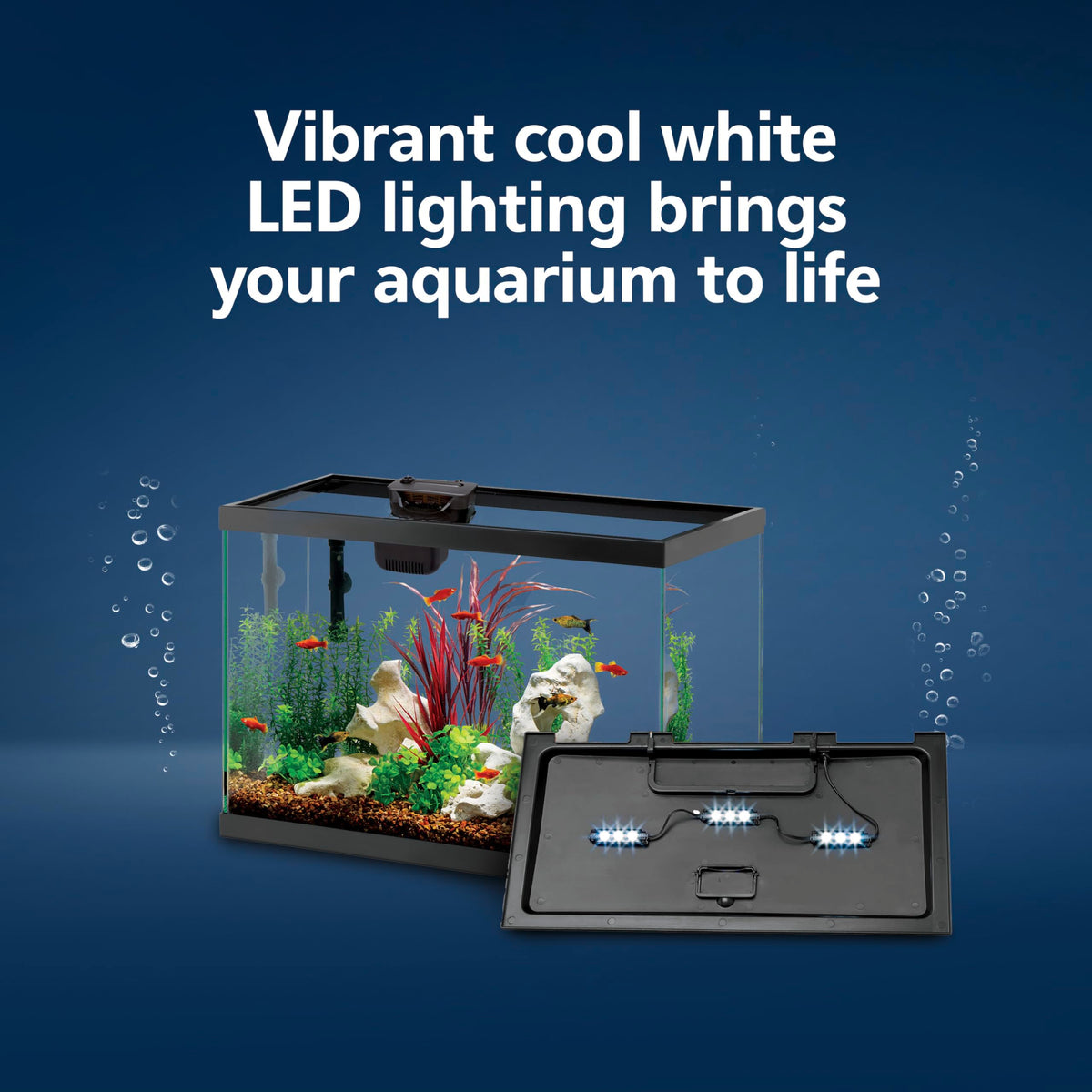 10-Gallon Aquarium Starter Kit with Filtration and LED Lighting O338271