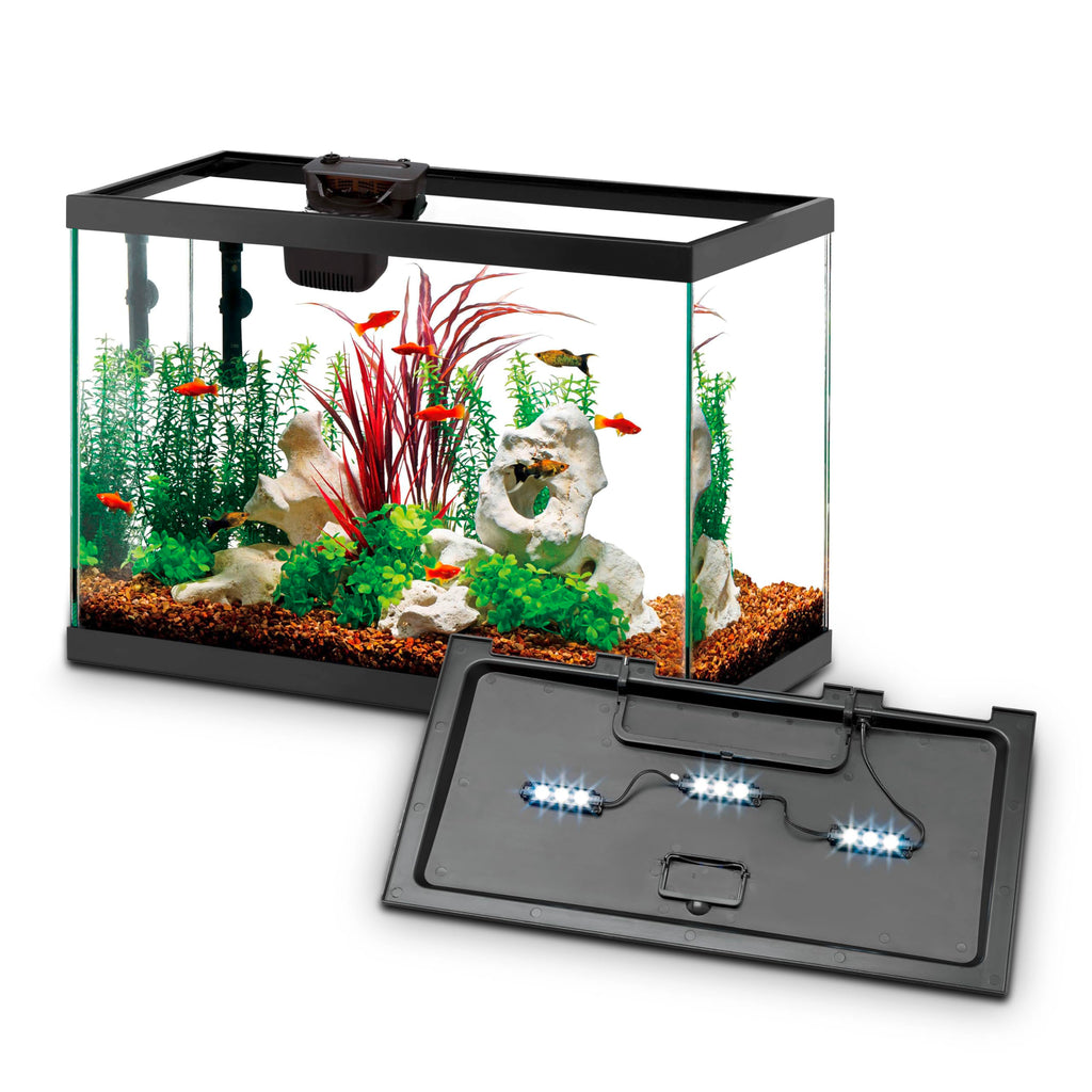 10-Gallon Aquarium Starter Kit with Filtration and LED Lighting O338271