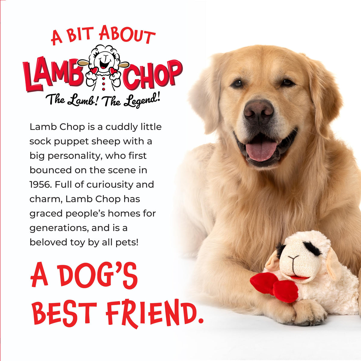 Dog Plush Squeaky Toy K420