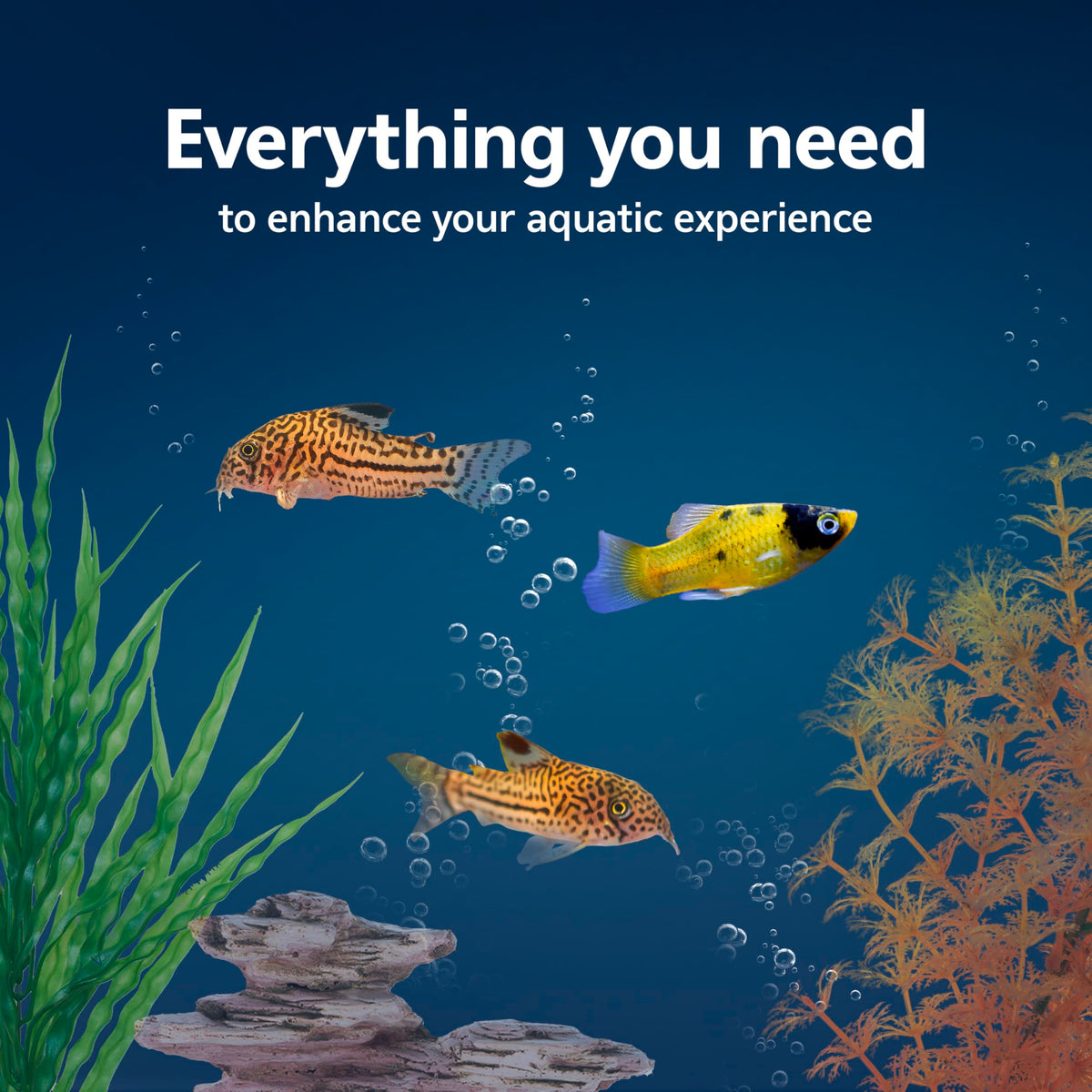 10-Gallon Aquarium Starter Kit with Filtration and LED Lighting O338271