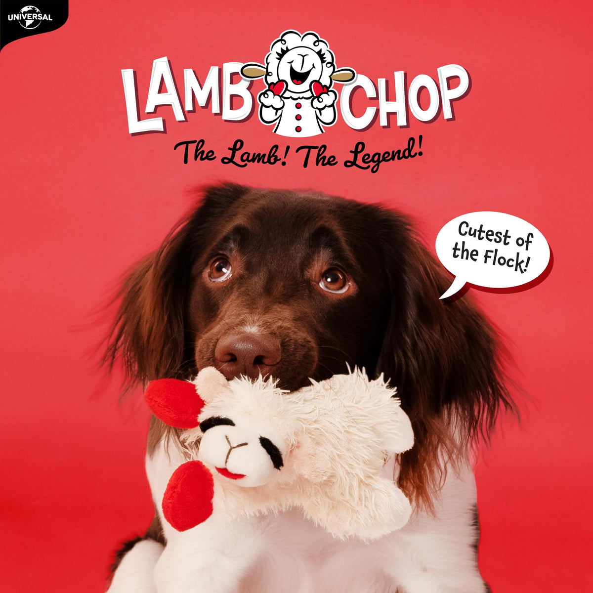 Dog Plush Squeaky Toy K420