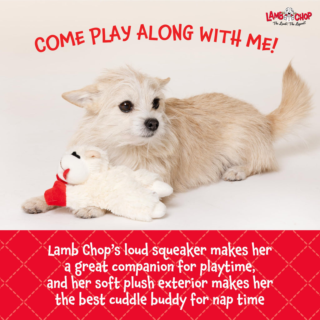 Dog Plush Squeaky Toy K420