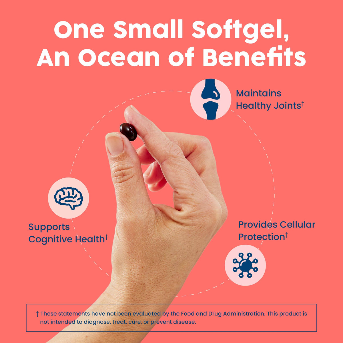 Antarctic Krill Oil 500mg Omega-3 60 Softgels T9534